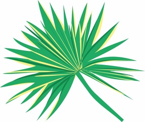 Exotic plants, flowers in jungle