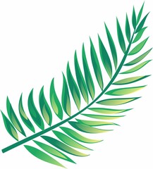 Exotic plants, flowers in jungle