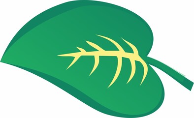 Exotic plants, flowers in jungle