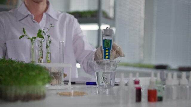 plant laboratories, female laboratory assistant examines water quality with measuring device to irrigate young microgreen sprouts in modern greenhouse backdrop of shelves, close-up