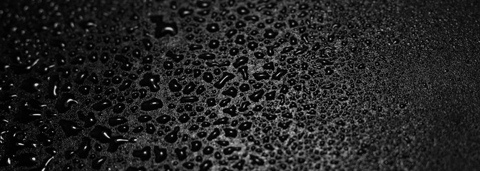 Water droplets on black background. Close-up photo of small water drops on black background for the wallpaper. Copy space.