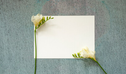 blank invitation or greeting card, card made of painting paper with a delicate beautiful texture, hand-painted background mix of watercolor and tempera paints, natural white freesia decoration - obrazy, fototapety, plakaty