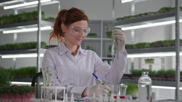 female scientist wearing glasses conducts biological experiments with plants in test tube and drips reagent to study reaction of root system of seedlings and writes observations in notebook while