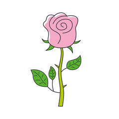 Obraz premium Pink rose flower isolated cartoon vector