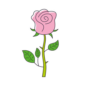 Pink rose flower isolated cartoon vector