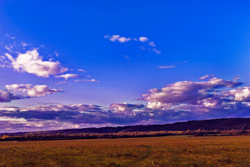 meadow and hills with a coniferous forest in the distance
