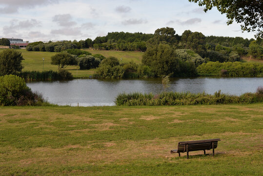 Parque da Cidade do Porto 10
