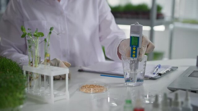 bio laboratory, woman ecologist in medical gloves examines the hardness of leading to spill the plants and study the reactions of genetically modified plants, close-up
