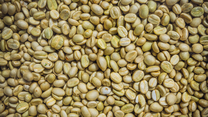 Fruit, coffee and fresh coffee beans, coffee, berries in fermentation and washing, wet processing method.