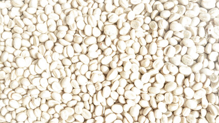 Coffee beans in the fermentation and washing process, dry raw coffee beans.