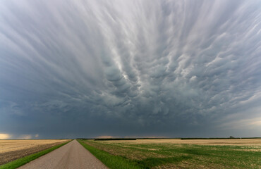 Prairie Storm Clouds mammatus