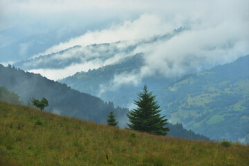 Clouds form in mountains after rain, Carpathians, Ukraine