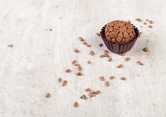 Typical brazilian brigadeiro with chocolate sprinkles and copy space
