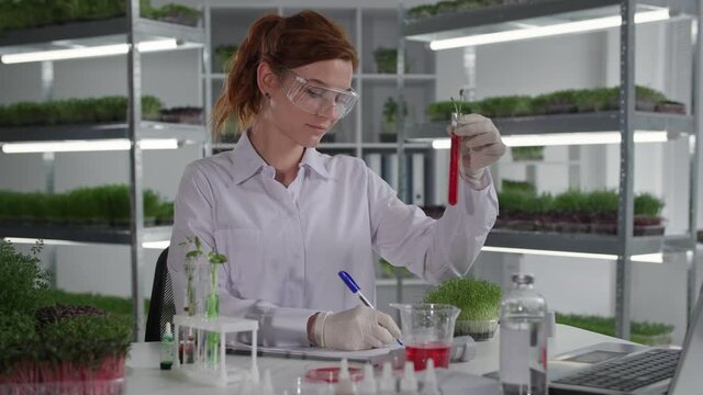 biological research laboratory, woman scientist examines plant in test tube for natural seedlings and writes observation in notebook