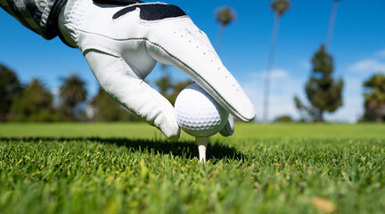 Hand in golf gloves putting golf ball on tee in golf course. Golf ball is on tee on green grass background. - obrazy, fototapety, plakaty