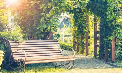 Fototapeta premium Bench.