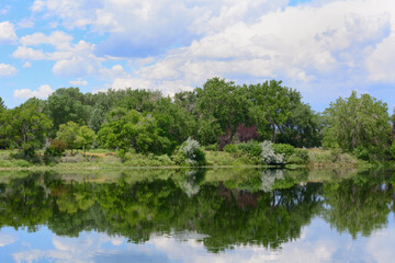 Early Summer Colorado Lake Landscape with lush green trees and vegetation and reflections in water