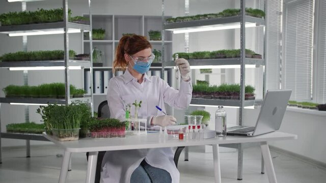 biological research in laboratory, female geneticist drips reagents into test tubes with germinated sprouts to study chemical reactions of plants while sitting on background of shelves in greenhouse