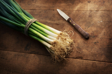Fresh harvested bundle of scallions on a old grungy table with small knife.