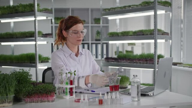 biological laboratory, female laboratory assistant communicates via video link with microbiologist on laptop and discusses genetic engineering research while sitting backdrop of shelves in greenhouse