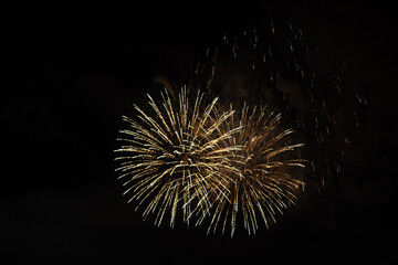 Fototapeta premium Independence Day fireworks