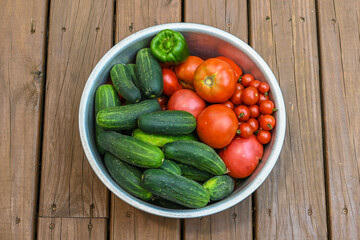 Bowl of cucumbers and tomatoes from home garden