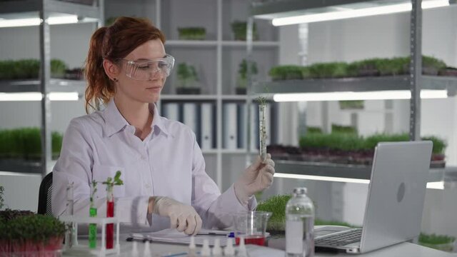 biological research, female biologist communicates with laboratory assistants via video link on laptop and discussing plants in test tubes while sitting in laboratory backdrop of shelves with micro