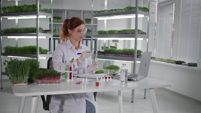 portrait of biologist female scientist talking by videoconference on laptop and discussing plant in test tube with laboratory assistants sitting in laboratory, smiling and looking at camera