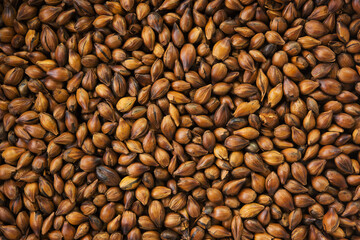 Roasted barley for roasted barley tea or mugicha.