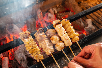 焼き鳥　炭火焼鳥