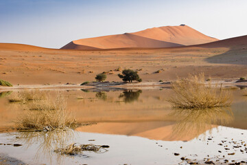 Fototapeta na wymiar Sand dunes and pond at Sossusvlei, Namib-Naukluft Park, Namibia
