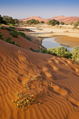 Sand dunes at Sossusvlei, Namib-Naukluft Park, Namibia