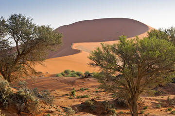 Sand dune (Big Mama) at Sossusvlei, Namib-Naukluft Park, Namibia