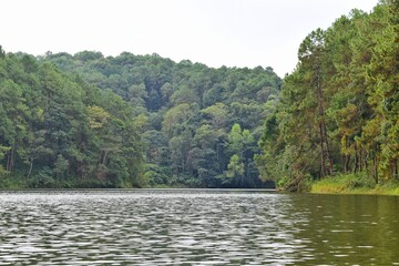 Beautiful lakes and abundant forests on good weather without storms at Pang Ung in Mae Hong Son, THAILAND.