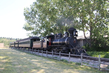 Locomotive In The Shade, Fort Edmonton Park, Edmonton, Alberta