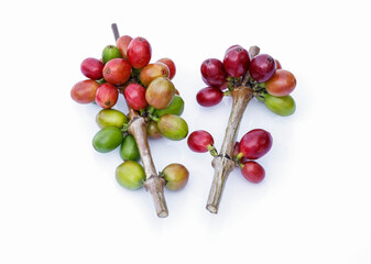 Fresh arabica coffee beans isolated on white background selective focus
