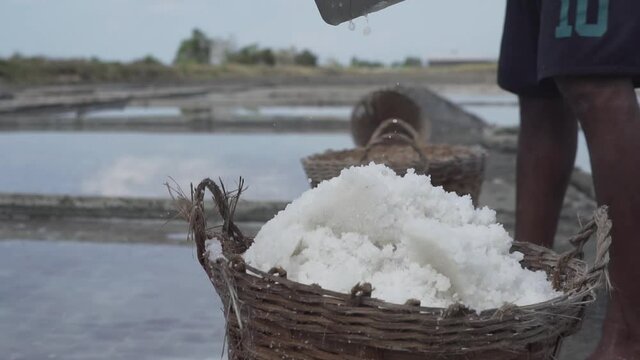 A salt farm worker rakes and collects salt from the salt-water bed