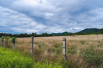 Barbed wire fence and rural lawn or corral for farm animals with mountain scenery background.