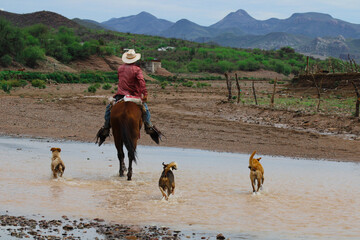 cowboy crossing river on horse