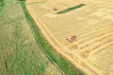 combine harvesters working on the large wheat field. rural landscape. panoramic aerial view