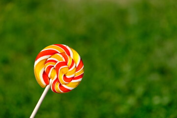 Colorful rainbow lollipop and nature background