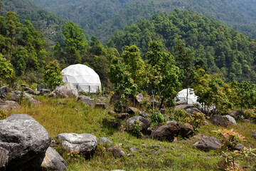 Igloo Tent house in the backdrop of dense forest .