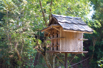 Wooden Bird House at Forest