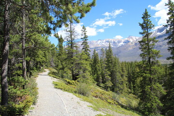 Fototapeta na wymiar Trail In Howse Pass, Banff National Park, Alberta