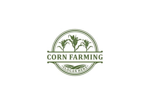 corn farming logo template in white background