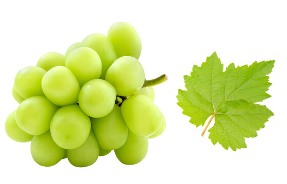 Set of cutout beautiful bunch of fresh green Shine Muscat grape and separated leaf isolated on white background