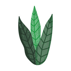 vegetation nature plant