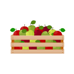 A bright summer illustration depicting a wooden box with ripe green and red apples. The harvested harvest of juicy apples in a wooden box. Vector illustration isolated on a white background