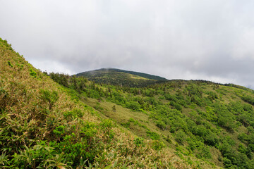 Fototapeta premium 広大な山と森林 秋田県 7月 