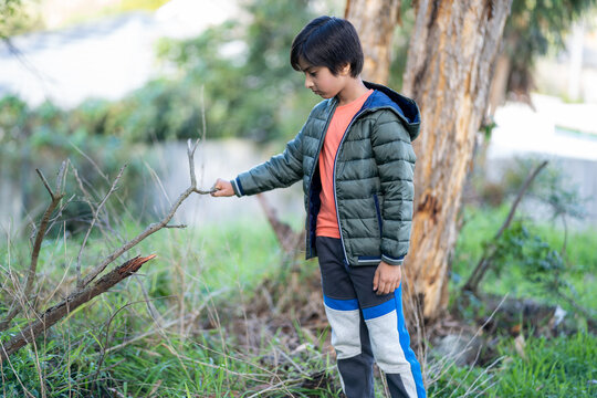 Young lonely boy touching tree branch outdoors in nature. Portrait of child outside in natural light.